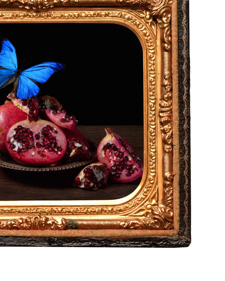 Original Contemporary Still Life Photography by Heather Allison