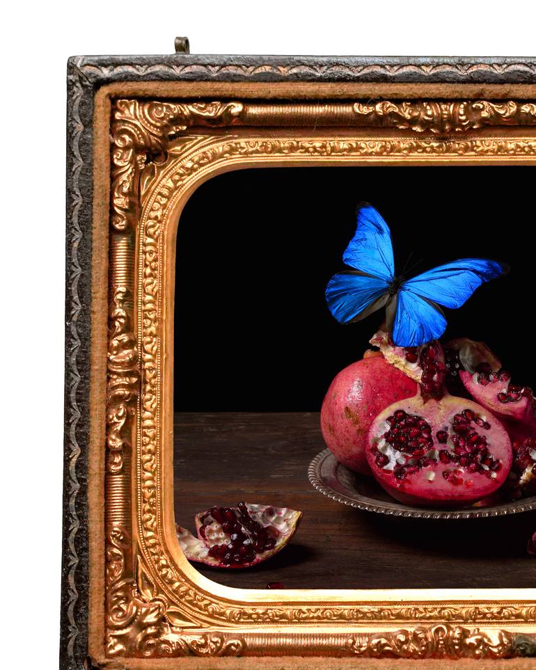 Original Contemporary Still Life Photography by Heather Allison