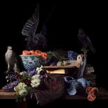 Vellere by Heather Allison