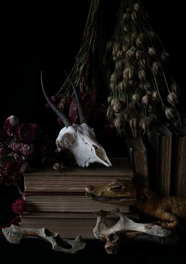 Print of Fine Art Still Life Photography by Heather Allison