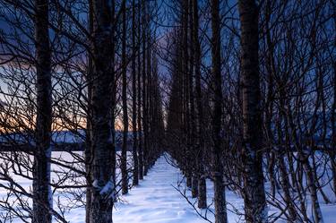 Print of Abstract Landscape Photography by Clifford Toy