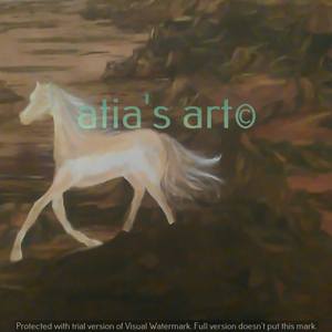 Collection Atia's Art