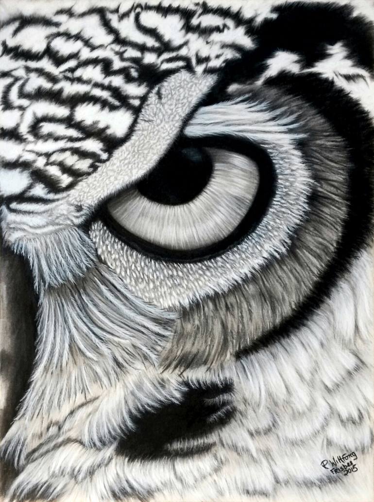 owl eye left eye Drawing by Rebecca Wiltfong Frisbee | Saatchi Art