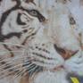 This artwork is made of torn pieces of posters reclaimed in the streets of Paris or other places in France