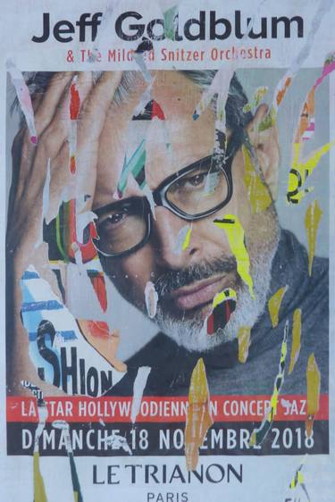 Original Street Art Portrait Collage by Fwed From France