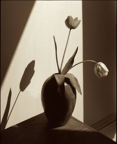 Original Fine Art Still Life Photography by David N Hyman