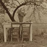 Collection Landscapes