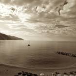 Collection Landscapes