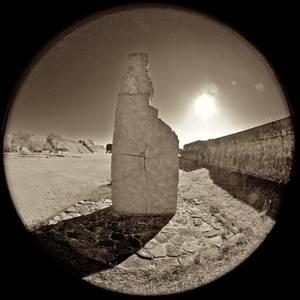 Collection Landscapes
