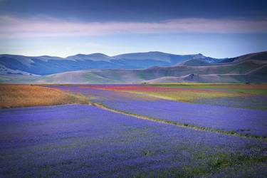 the colors of Castelluccio - Limited Edition of 10 thumb