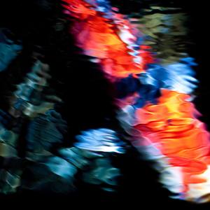 Mystery Koi - Limited Edition 1 of 10