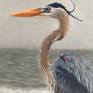 Portrait of a blue heron  on a windy day, stormy sea as a background