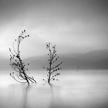 Original Fine Art Landscape Photography by George Digalakis