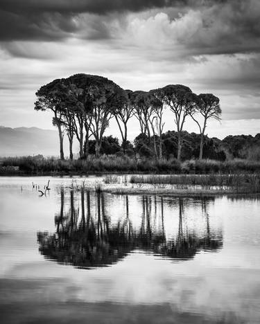 Print of Fine Art Nature Photography by George Digalakis