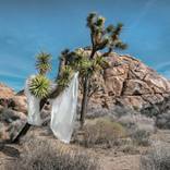 Collection Desert Landscapes