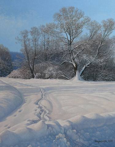 Fresh snow by Emil Mlynarcik thumb