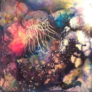 Medusazoa Jelly Fish