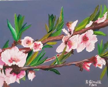 The almond in bloom. thumb