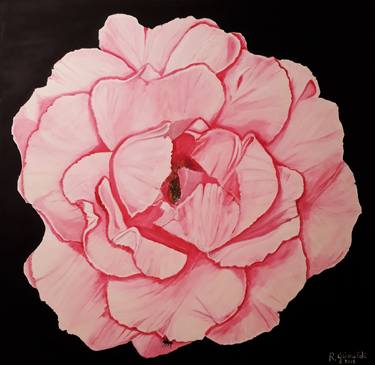 Print of Floral Paintings by Rosario Grimaldi