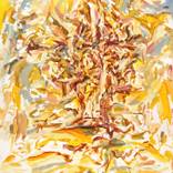 Collection Fresh Faces (New To Fair)