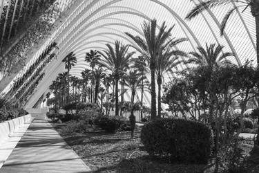 Palms and Arches thumb