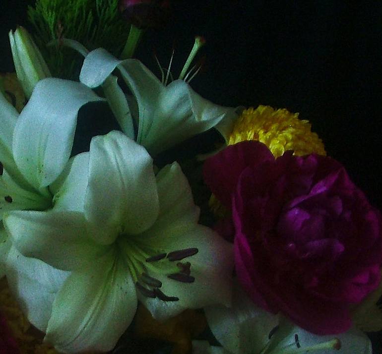 Original Fine Art Nature Photography by Dorothy Nkemdirim