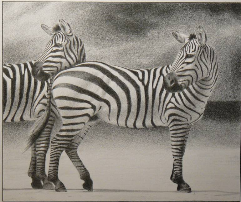 zebra pencil drawing