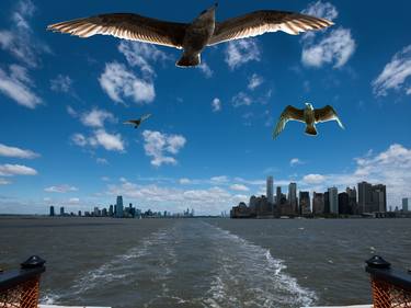Birds following the Staten Island Ferry - Limited Edition of 10 thumb