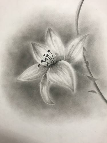 Original Floral Drawings by Namrata Agarwal