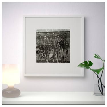 Print of Fine Art Botanic Printmaking by Maria Utorova