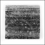 Lace doily - I - Limited Edition of 1 by Maria Utorova