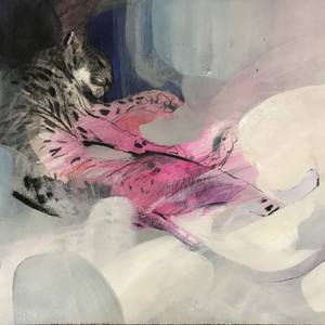 Collection Absurd, Visceral and Whimsical