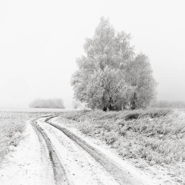 Print of Seasons Photography by Andrii Maikovskyi