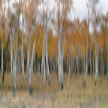 Print of Impressionism Seasons Photography by Andrii Maikovskyi