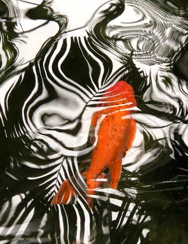 KOI fish 2 (Bal Harbour) - Limited Edition 1 of 50 thumb