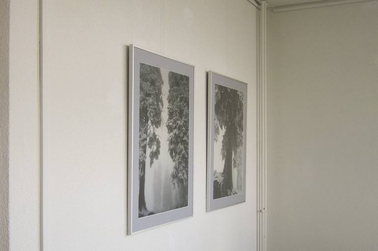 Original Tree Photography by Jacobien de Korte