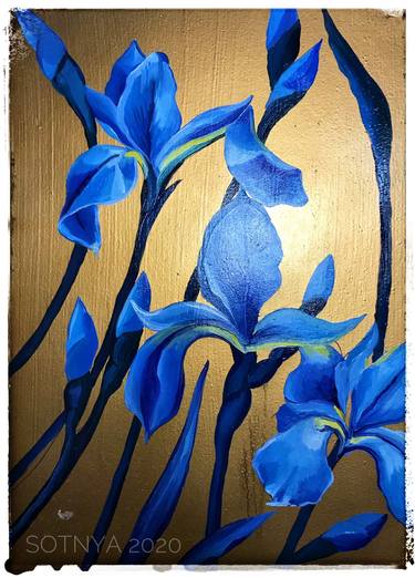 Blue irises thumb