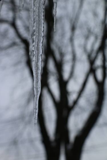 Print of Abstract Photography by Shahrzad Ghaffari