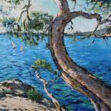 Collection French Riviera