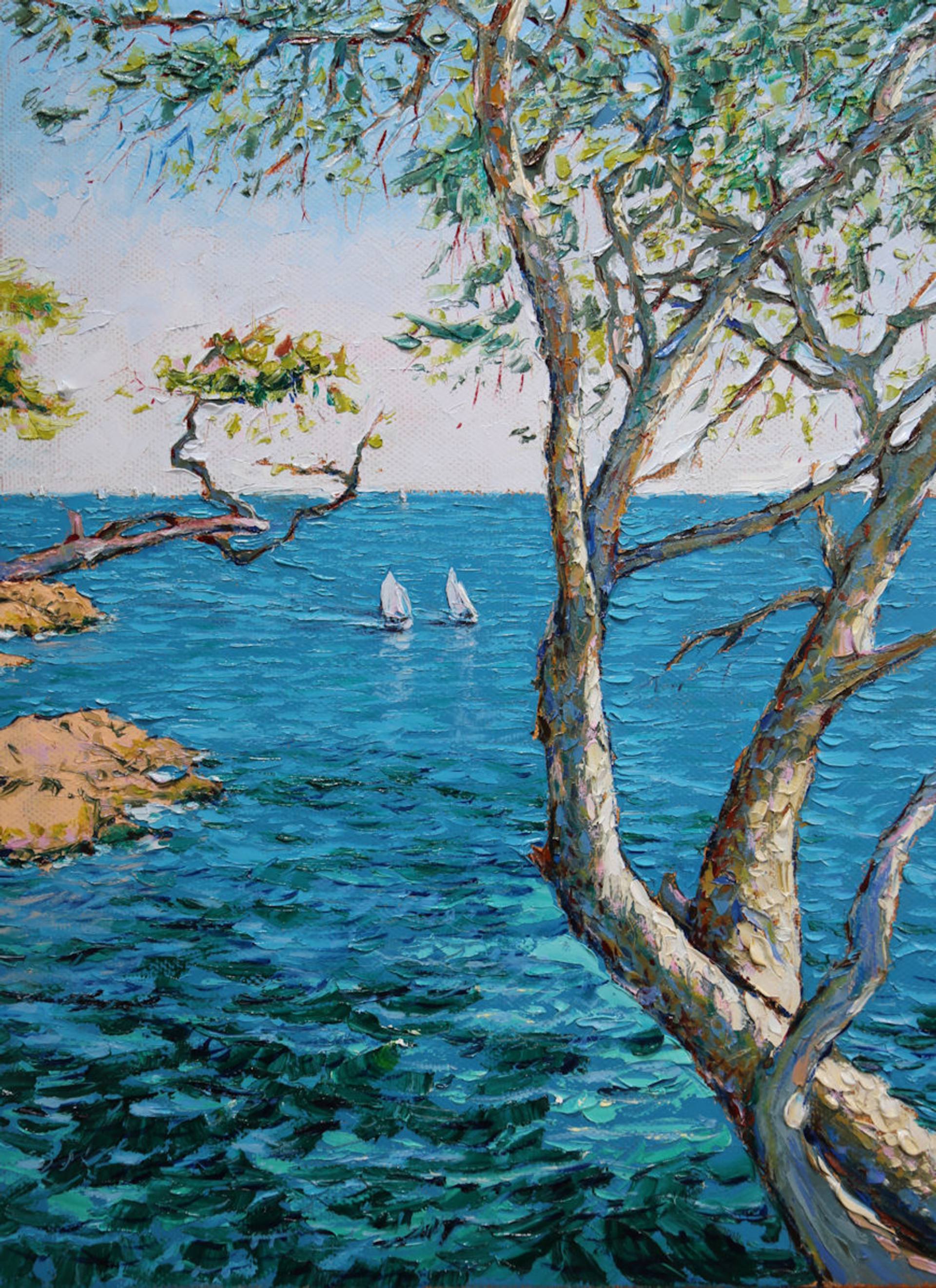 French Riviera. We enjoyed the scent of rosemary and pines II