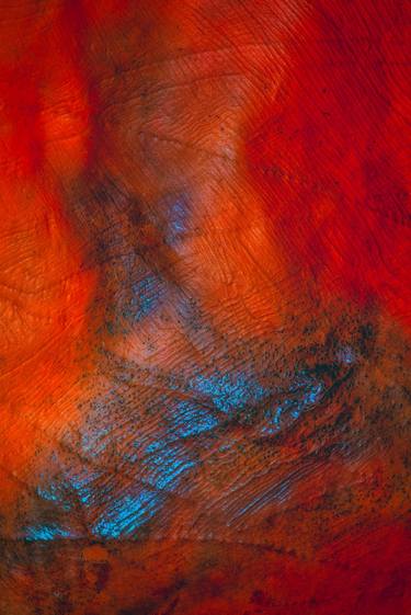 Print of Abstract Expressionism Nature Photography by Richard Kelley