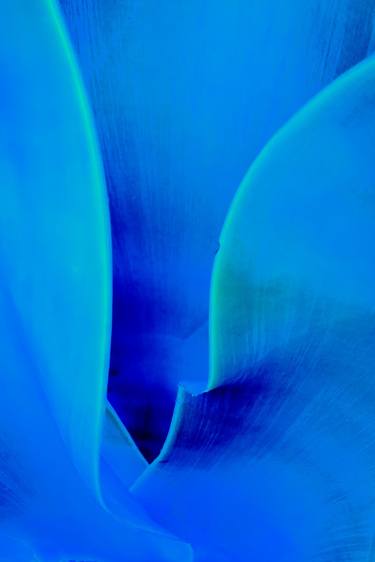 Original Abstract Expressionism Abstract Photography by Richard Kelley