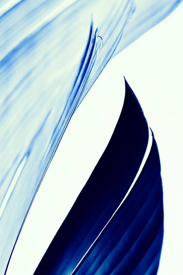 Original Abstract Expressionism Botanic Photography by Richard Kelley