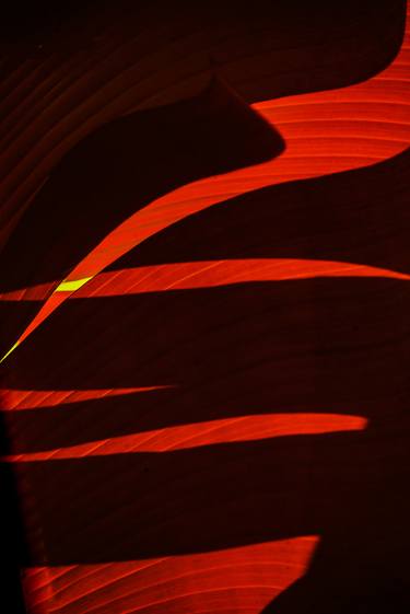 Original Abstract Expressionism Abstract Photography by Richard Kelley