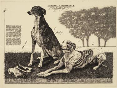 Dogs I. (Hungarian Sighthound) - Limited Edition 8 of 10 thumb
