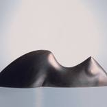 LYING TORSO by TARAS LEVKO