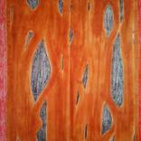 Closed damage window by Krishna Kumar Tiu
