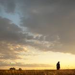 Cowboy 3 by Keith Bernstein