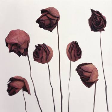 Saatchi Art Artist Keith Bernstein; Photography, “Roses - Limited Edition 1 of 8” #art