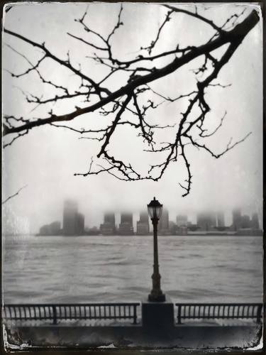 Battery Park Trees - Limited Edition 1 of 8 thumb
